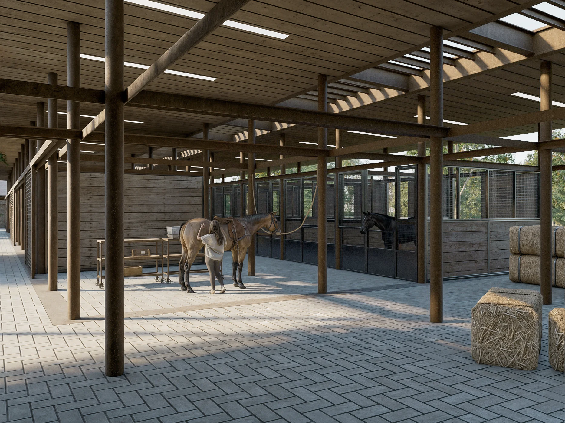 Area caballos